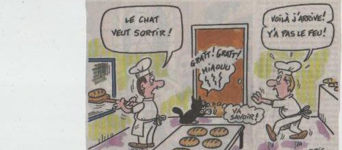 Chat alors
