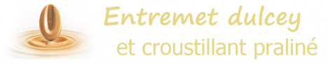 Entremet dulcey et croustillant praliné