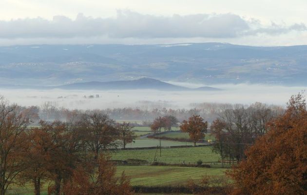 APRES  LE  BROUILLARD
