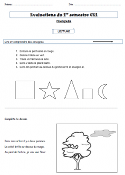 Evaluations du premier semestre