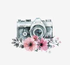 La photo préférée du mercredi chez Flo