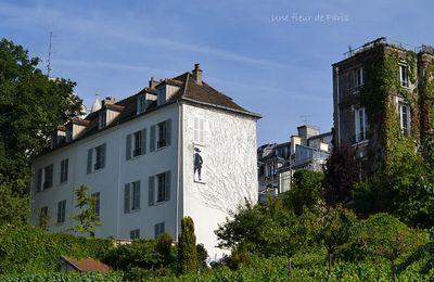 Le vignoble du "Clos Montmartre"