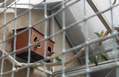 Jardin Botanique le 6 juillet...