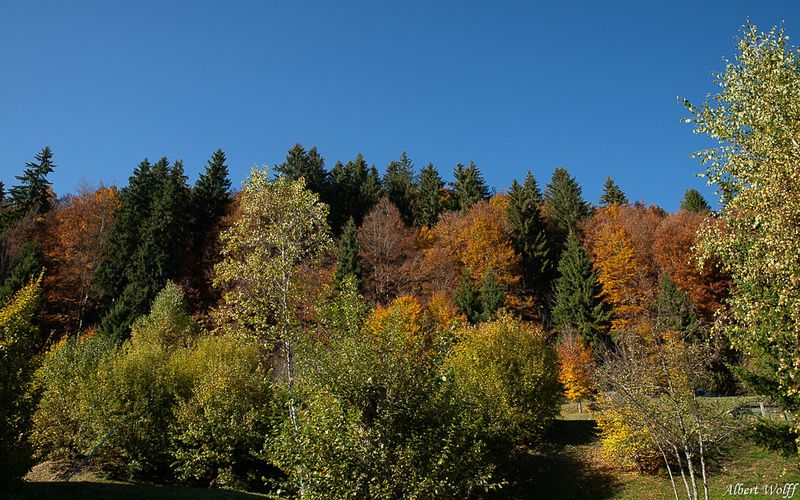 Jura automnal  - suite.