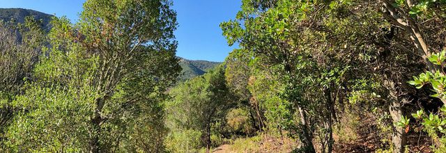 Sur le sentier des bergeries de Calca - Galéria