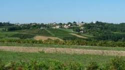 RANDO 12 / Le 8 novembre - VILLENAVE de RIONS