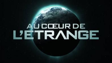 AU CŒUR DE L' ETRANGE - L' IFRES