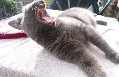 Lundi soleil? ou pas!