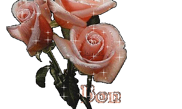 REFLEXION DE LA SEMAINE   28/07/2013