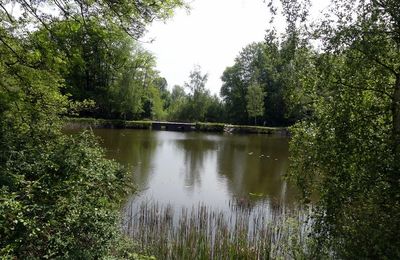 La forêt de Bondy (2/2)