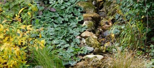 Jouez à cache-cache