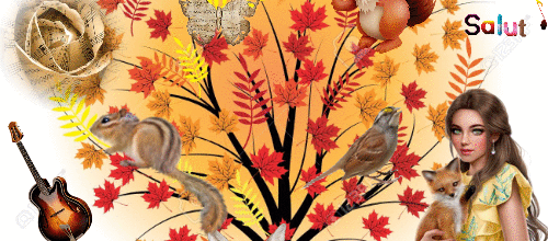 L AUTOMNE ARRIVE