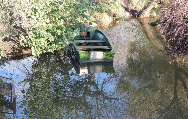 Reflets à Martizay