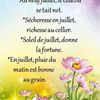 Dicton et Fête du jour   Amandine + grille prénom   !