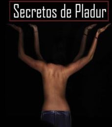 [PDF] SECRETOS DE PLADUR descargar gratis