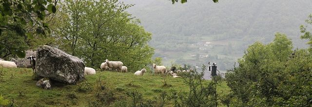 Escapade verte dans les Pÿrénées