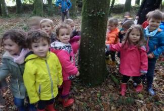 Promenons-nous dans le bois.......de Penhoët