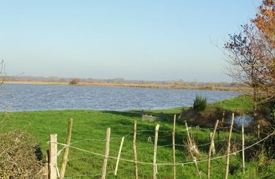 Pornic Marais Mainguy - novembre 2019
