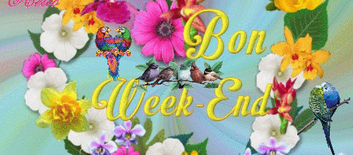 BON WEEK END ANIMAUX