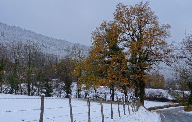 Le 13 novembre 2017: Retour de courses