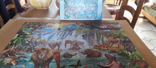 Retour dans la jungle : puzzle terminé
