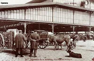 La Grande Halle de la Villette, anciennement "Halle aux boeufs"