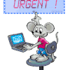 URGENT blinkie, gif anime