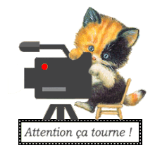 blinkie photo,paparazzi,appareilphoto,gif anime