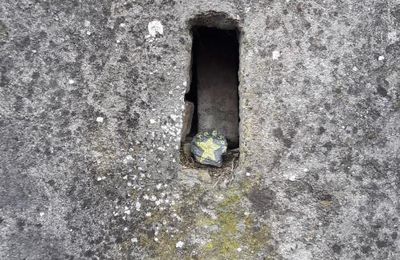 Trouve mon trésor !