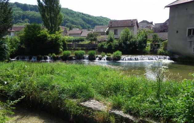 Arbois le pays de Pasteur et du vin