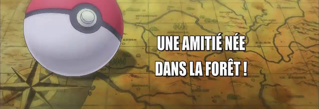 Pokémon - 17x37 - Une amitié née dans la forêt !