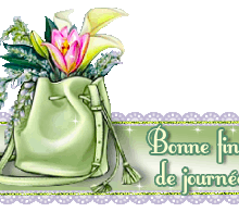 Bonne soirée-Bonsoir, fin de journee