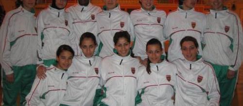 MCA Volley-ball Section Féminine