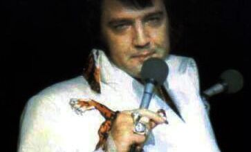 photo elvis
