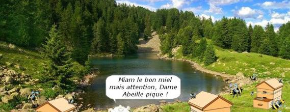 Pourquoi installer une ruche dans son jardin ? 