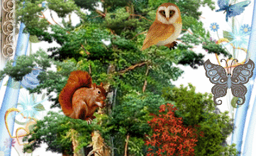 ANIMAUX NATURE PIANO