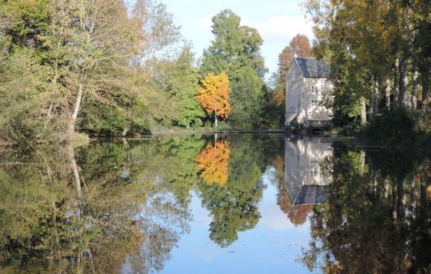 Montreuil-Bellay dept 49 - 2
