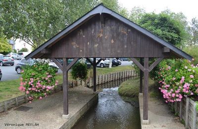 Calvados : été 2018 : Ville de Touques : Un lavoir
