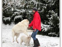  Meije danse avec la neige.