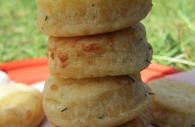 Pique nique du dimanche #2 : Sablés à l'emmental et au parmesan, et sa sauce au fromage blanc aillé
