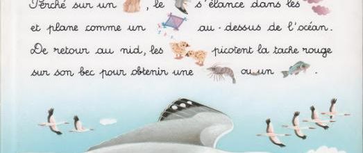 Je lis avec les animaux du ciel