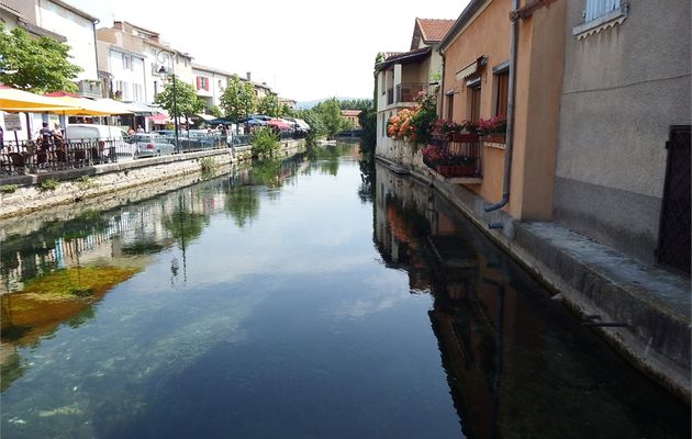 l'église de l'Isle sur la Sorgue -3