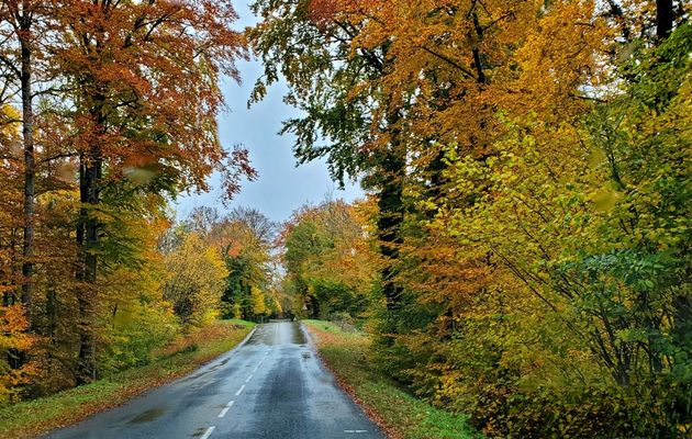 Le 24 octobre 2025 : L'automne sous la pluie