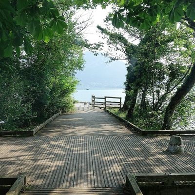 En longeant le lac d’Annecy ~ Le sentier des Roselières