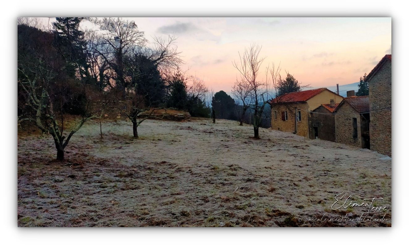 Matin gelé 06/01/2025