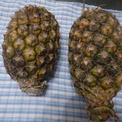 coucou a mes sinceres amis amies 