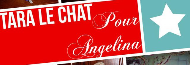 Tara le chat