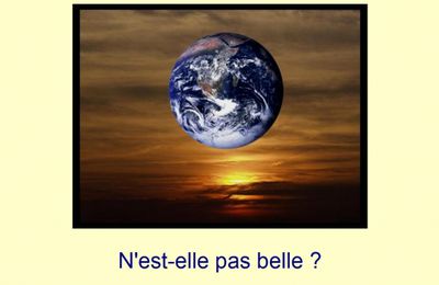 Les sacs plastiques