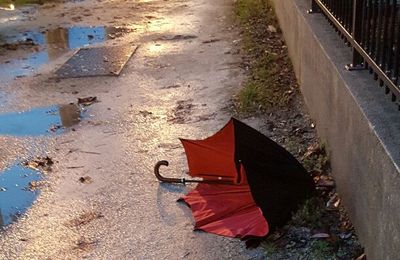 Participez au Café Thé n° 73 - Parapluie abandonné...