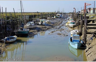 85 . Vendée - Bouin (3) - Port des Champs